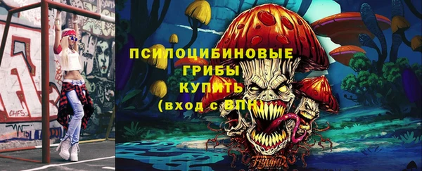 COCAINE Богородицк