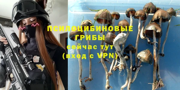 соль курить ск Белокуриха