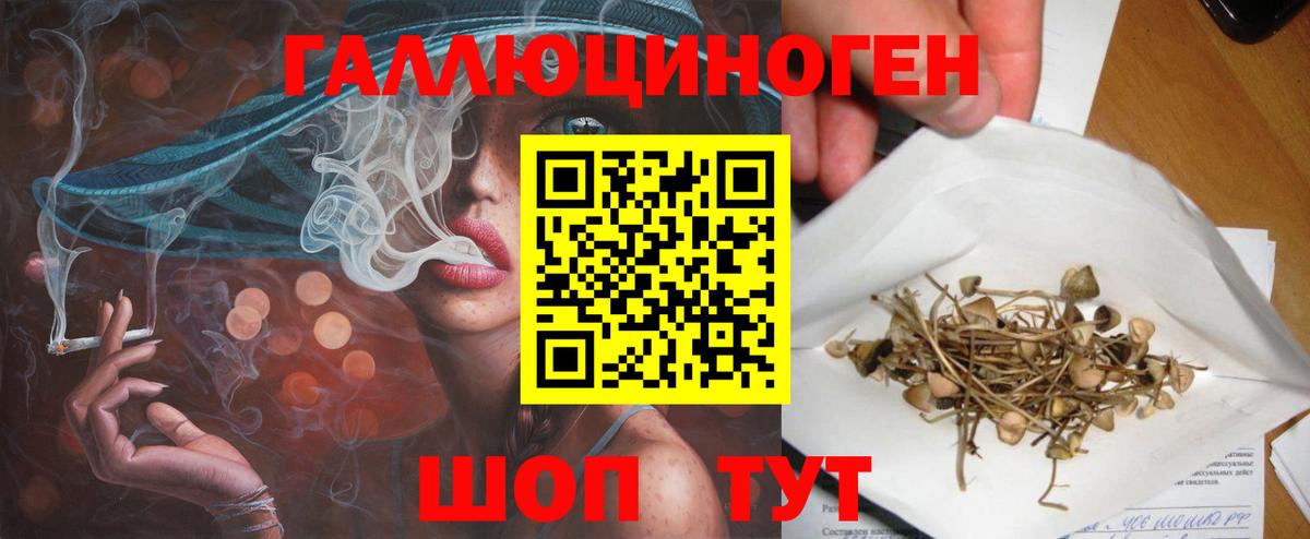 Галлюциногенные грибы MAGIC MUSHROOMS  Вход с VPN  Псилоцибиновые грибы мицелий  Вязники 